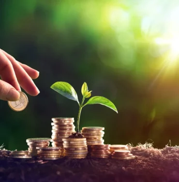 Financial stability concept with hands holding growing coins and plants