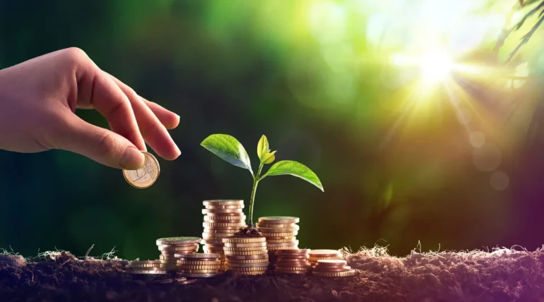 Financial stability concept with hands holding growing coins and plants
